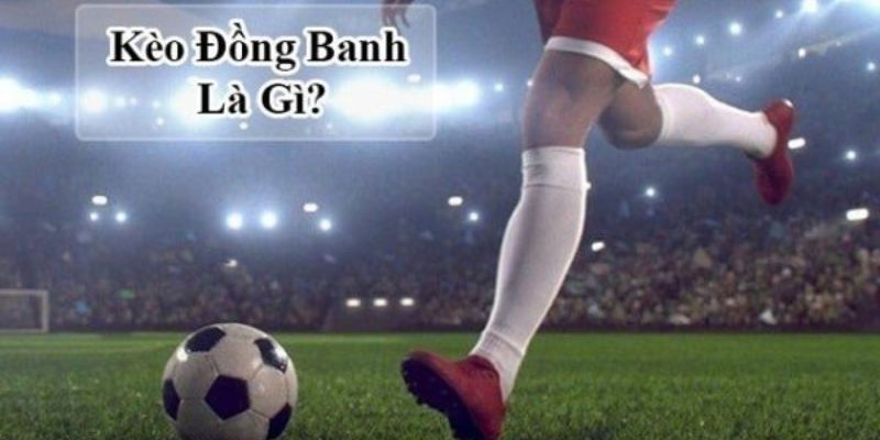 Giới thiệu tổng quan cơ bản kèo đồng banh là gì